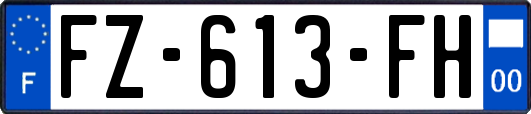 FZ-613-FH