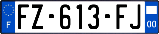 FZ-613-FJ