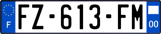 FZ-613-FM