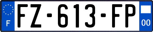 FZ-613-FP
