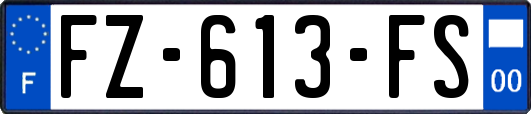 FZ-613-FS