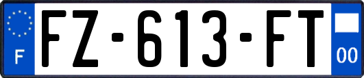 FZ-613-FT