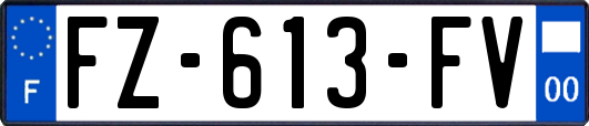 FZ-613-FV