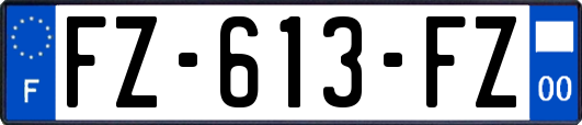 FZ-613-FZ