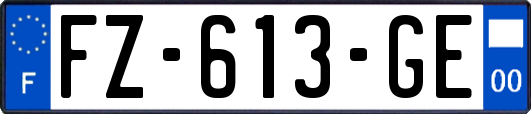 FZ-613-GE