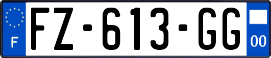 FZ-613-GG