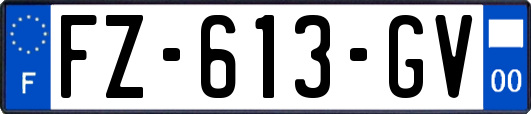 FZ-613-GV