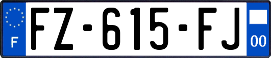 FZ-615-FJ