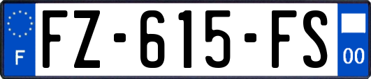 FZ-615-FS