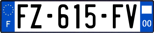 FZ-615-FV