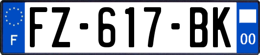 FZ-617-BK