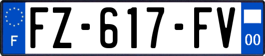 FZ-617-FV