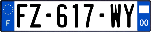 FZ-617-WY