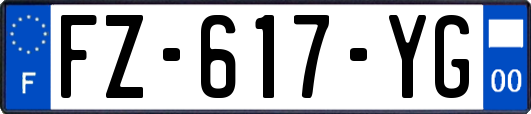 FZ-617-YG