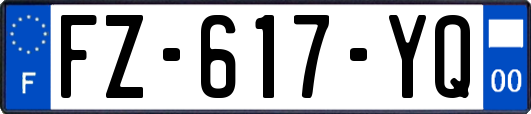 FZ-617-YQ