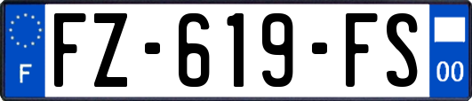 FZ-619-FS