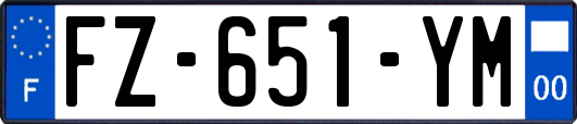 FZ-651-YM