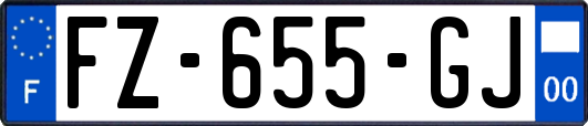 FZ-655-GJ