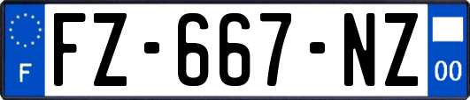 FZ-667-NZ
