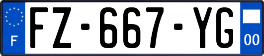 FZ-667-YG