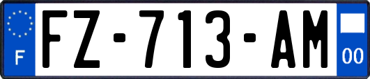 FZ-713-AM