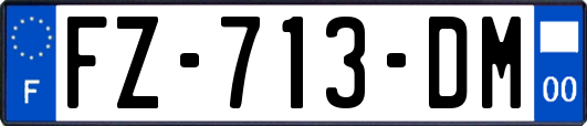 FZ-713-DM