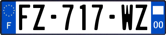FZ-717-WZ