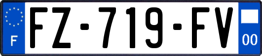 FZ-719-FV