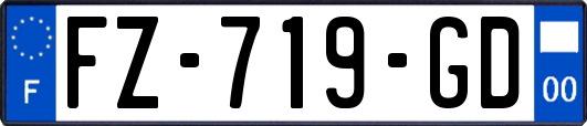 FZ-719-GD