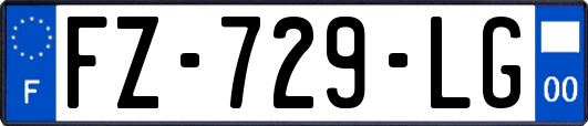 FZ-729-LG