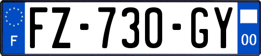 FZ-730-GY