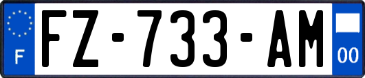 FZ-733-AM