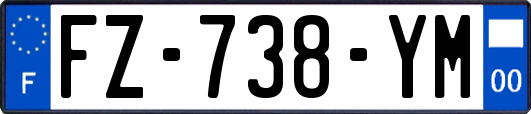 FZ-738-YM