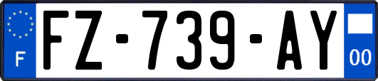 FZ-739-AY