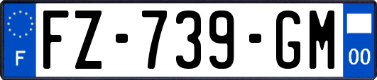 FZ-739-GM