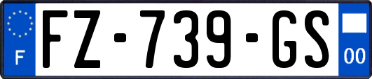 FZ-739-GS