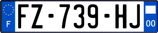 FZ-739-HJ