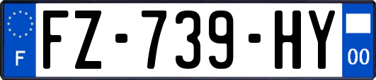 FZ-739-HY