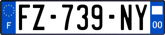FZ-739-NY