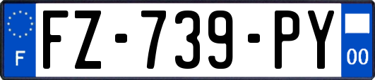 FZ-739-PY