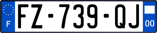 FZ-739-QJ