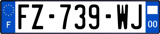 FZ-739-WJ