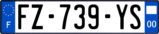 FZ-739-YS