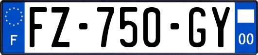 FZ-750-GY