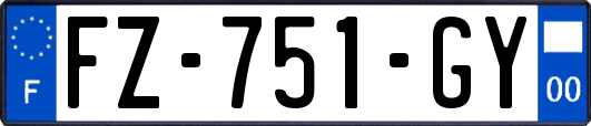 FZ-751-GY