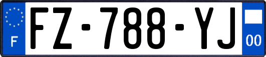 FZ-788-YJ