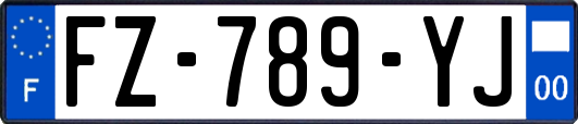 FZ-789-YJ