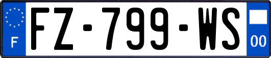 FZ-799-WS