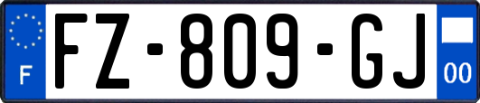 FZ-809-GJ
