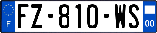 FZ-810-WS